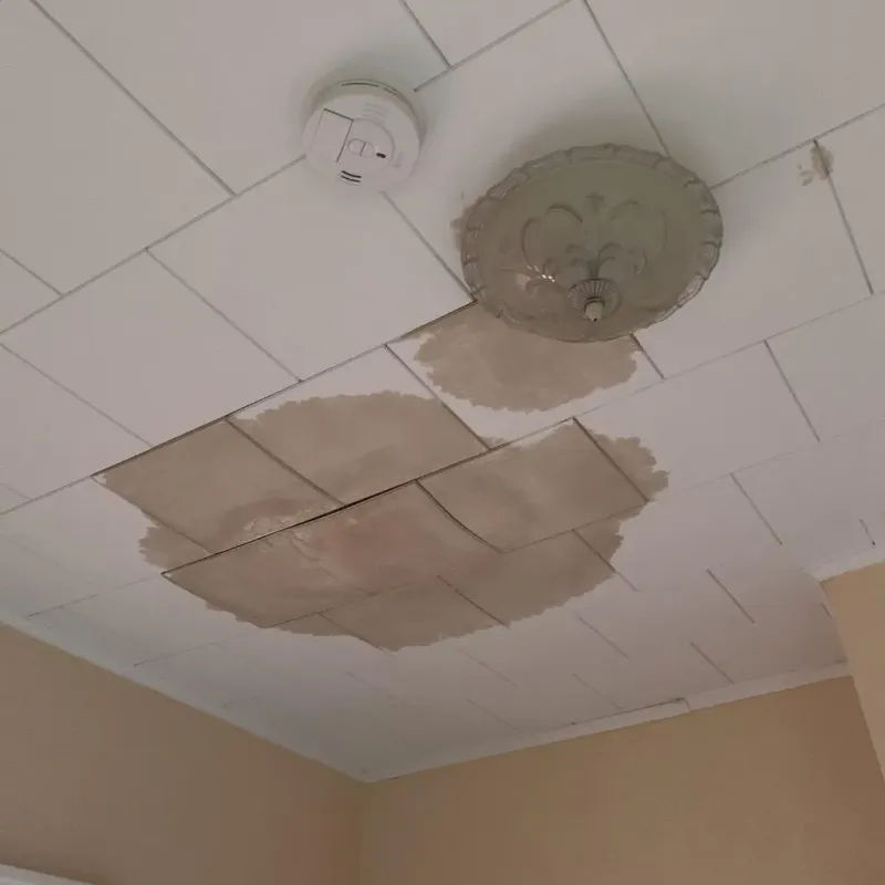 Ceiling Water Damage Repair in Luzerne, PA