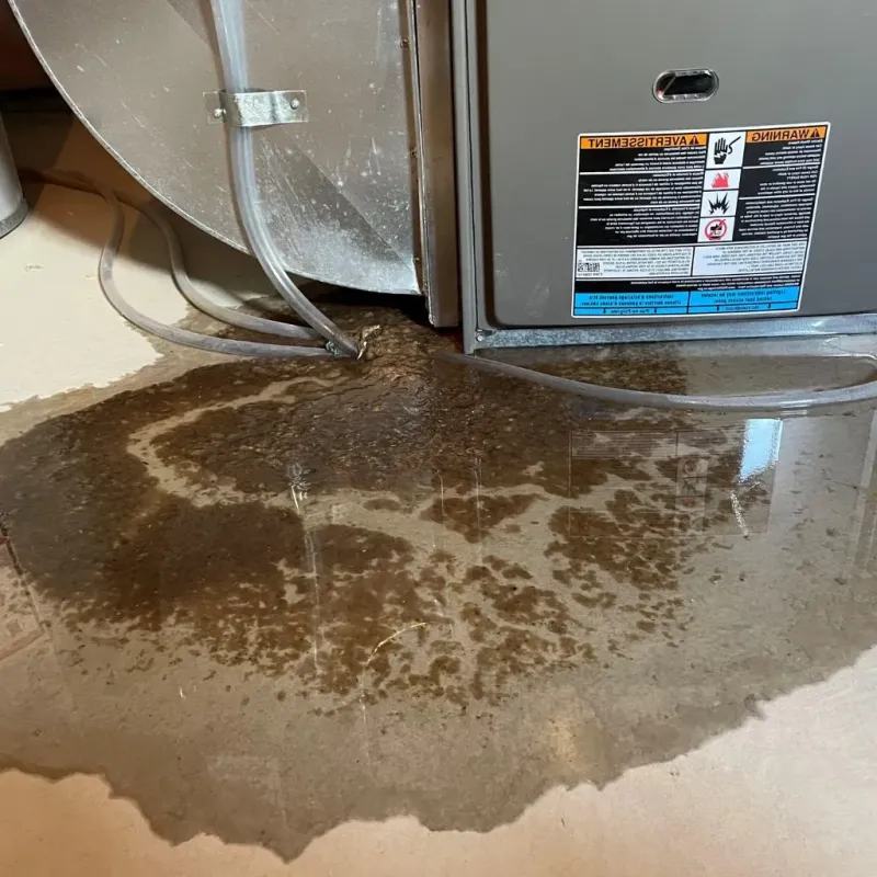 Pipe Burst and Leak Restoration in Luzerne, PA