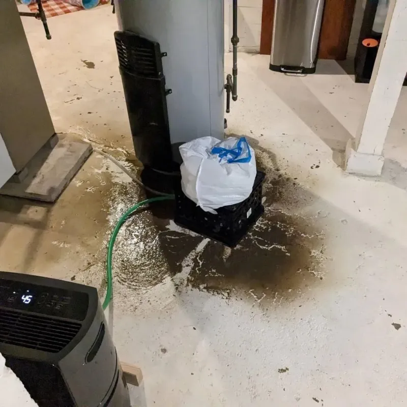Sewage Backup Cleanup Service in Luzerne, PA